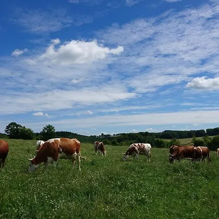 Ferien Auf Dem Land - Schultenhof Apartment